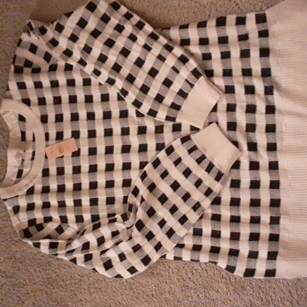 Loft sweater NWT